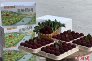 梦见石棺高速赋能产业升级：一条“杨梅路”的致富密码